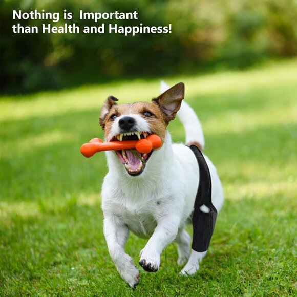 Knee Brace for Dogs ACL with Side Stabilizers Knee Cap Dislocation Arthritis - Picture 5 of 6